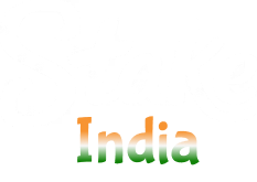 Stake Casino Logo